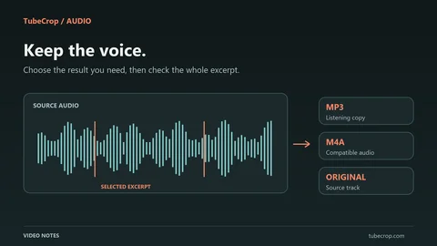 Editorial diagram separating an audio waveform from a video source into MP3, M4A and original-track choices.
