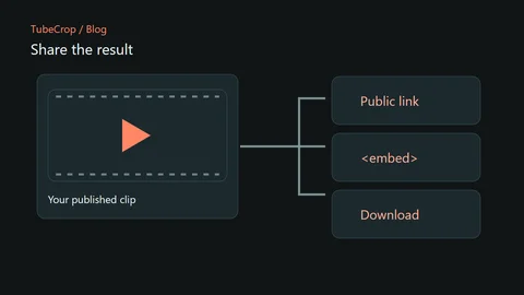 A published clip connects to a public link, an embed and a download.